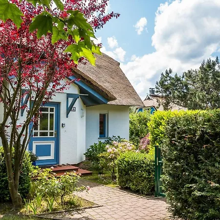 Ankerherz * Wustrow (Fischland)