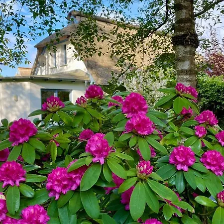 Ankerherz Wustrow (Fischland)