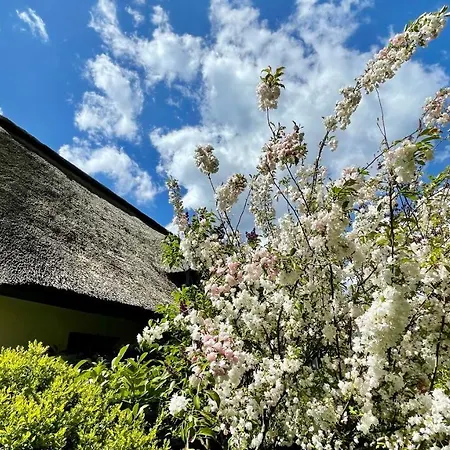 Ankerherz * Wustrow (Fischland)