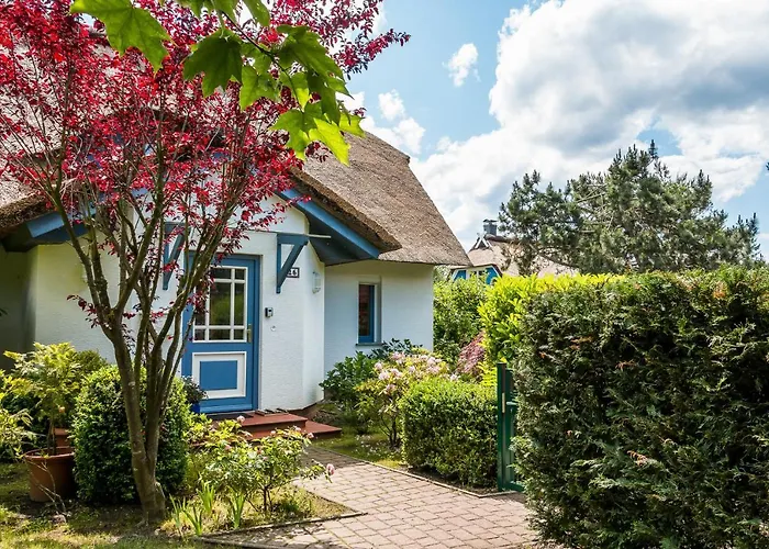 Ankerherz * Wustrow (Fischland)