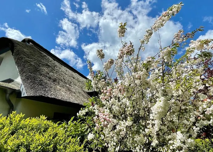 Ankerherz * Wustrow (Fischland)